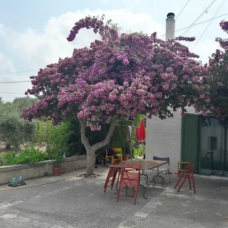 Holiday home Fra Il Glicine E Il Sambuco Monopoli