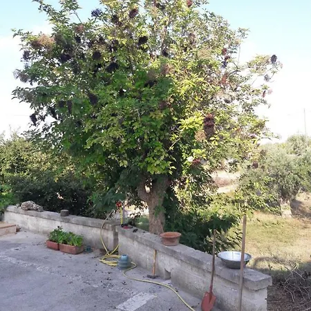 Fra Il Glicine E Il Sambuco Holiday home Monopoli
